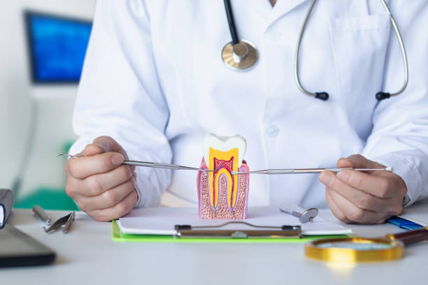 Best Emergency Dental Filling Replacement  in Midlothian, IL